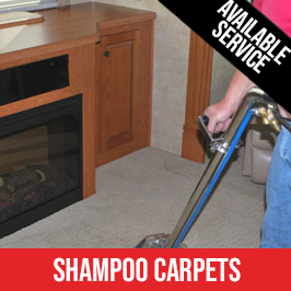 Shampoo Carpet Service